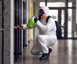 Mold Odor Removal Services in Lake Bluff, IL